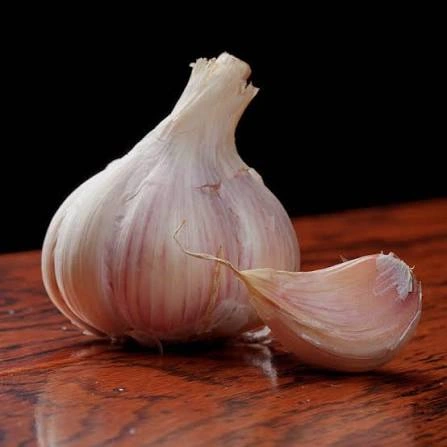 Garlic ingredient